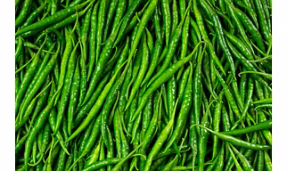 Green Chilli