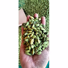 Green Cardamom
