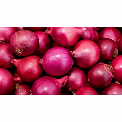 Onion-12761459
