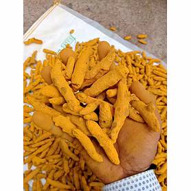 Turmeric