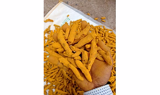 Turmeric