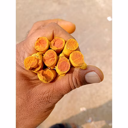 Turmeric-1