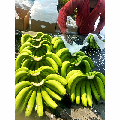 fresh banana