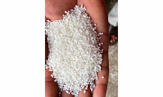 broken rice