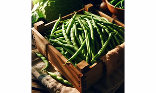 Fresh Vegetables