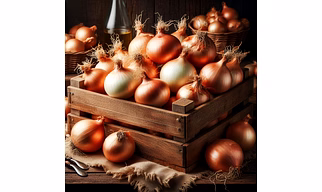 Fresh Onions
