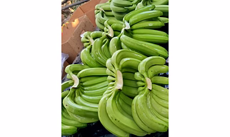 Banana