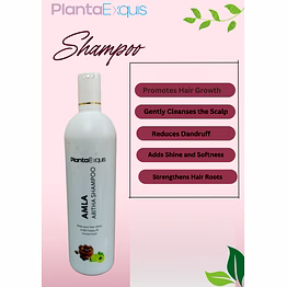 planta exquis amla aritha shampoo 500ml