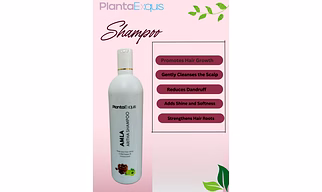 Amla Aritha Shampoo 500ml