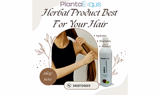 Amla Aritha Shampoo