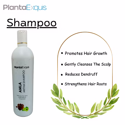 Amla Aritha Shampoo-2