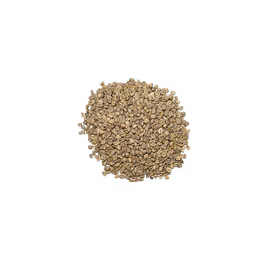 arabica raw coffee beans