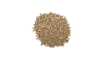 Arabica Raw Coffee Beans