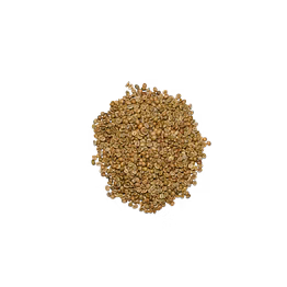 robusta raw coffee beans
