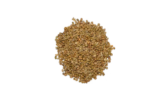 Robusta Raw Coffee Beans