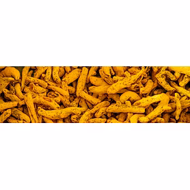 TURMERIC FINGERS