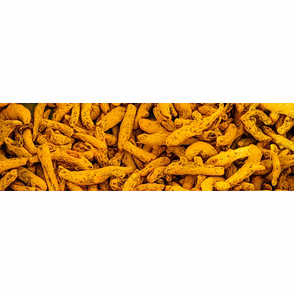 TURMERIC FINGERS-12712471
