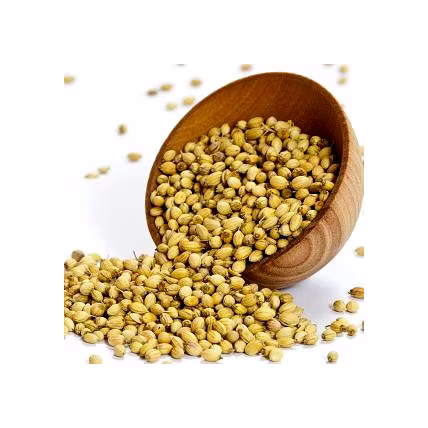 Coriander seeds-12712731