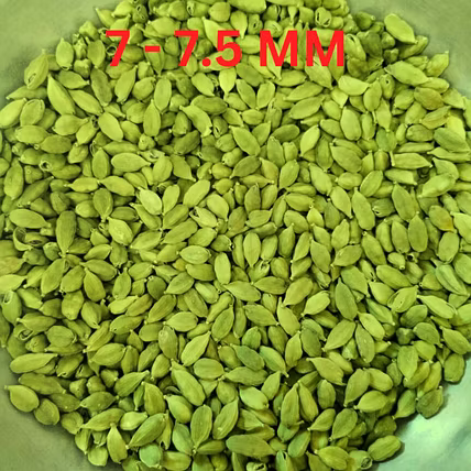 Green Cardamom-12712891