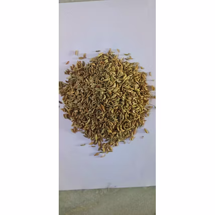 Jeera (Cumin Seeds)-12715185