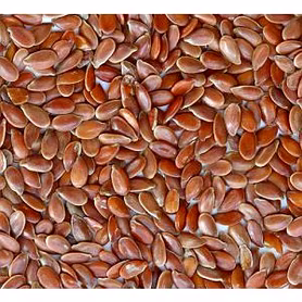 Flax Seeds