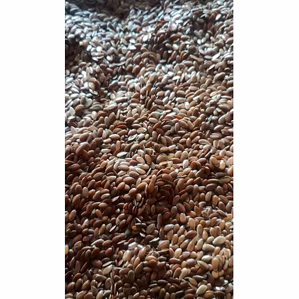 Flax Seeds-1
