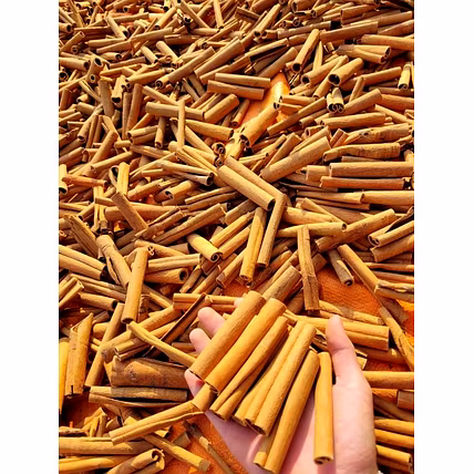 CINNAMON STICKS-4