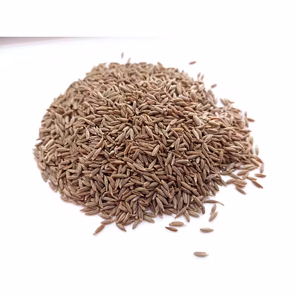 Jeera (Cumin Seeds)-2