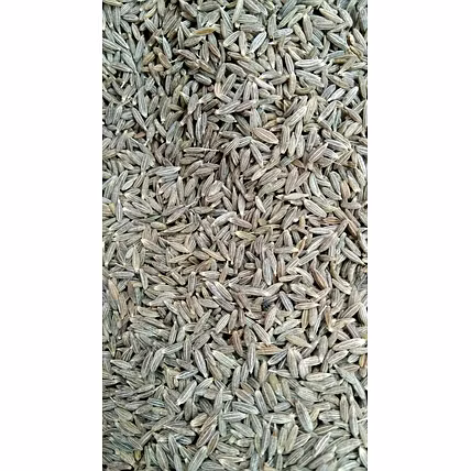 Jeera (Cumin Seeds)-3