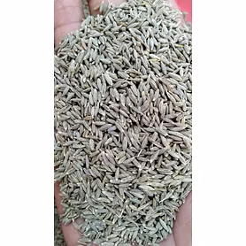 Jeera (Cumin Seeds)