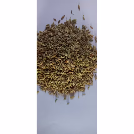 Jeera (Cumin Seeds)-5