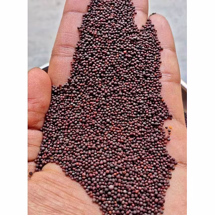 Mustard Seeds Bold-12716099
