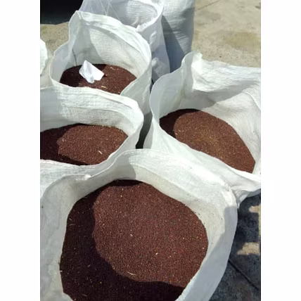 Mustard Seeds Bold-2