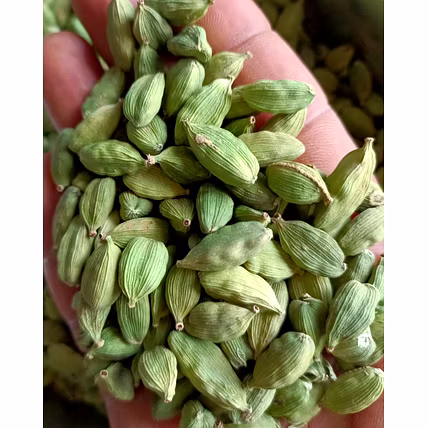 Green Cardamom-1