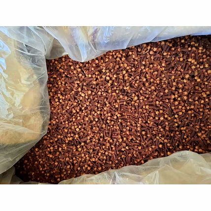 Black Clove-1