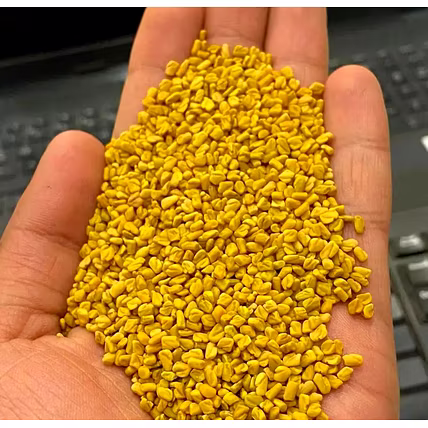 Fenugreek Seeds-12716091