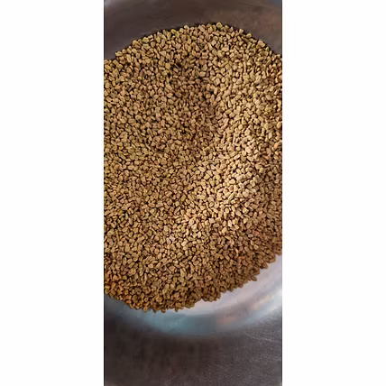 Fenugreek Seeds-1