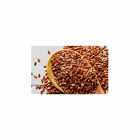 Flax Seeds