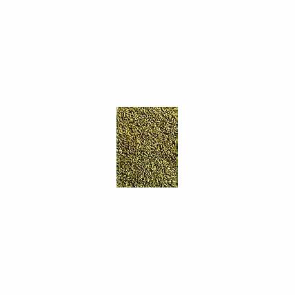 Fennel Seeds Powder-4