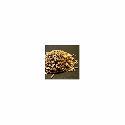 Fennel Seeds Powder-5