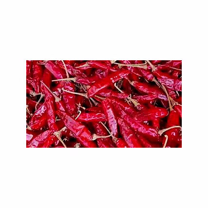 Red Chilli-2