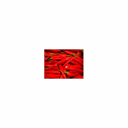 Red Chilli-4