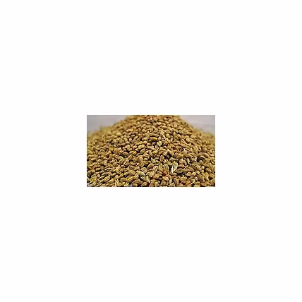 AJWAIN SEEDS-2