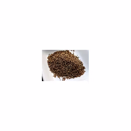 AJWAIN SEEDS-3