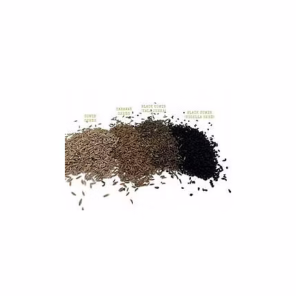 Black Cumin Seeds(Kaala Jeera)-4