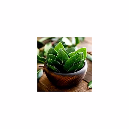 Bay Leaves-3