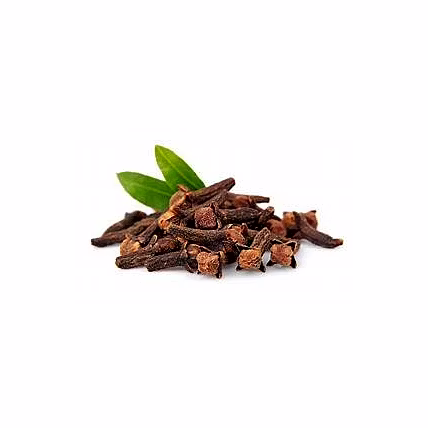 Black Clove-5