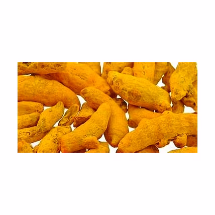 TURMERIC FINGERS-5
