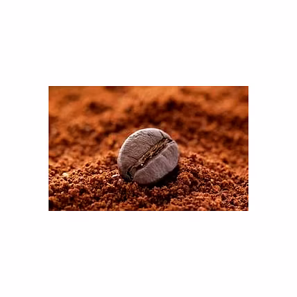 Agglomerated Instant Coffee-2