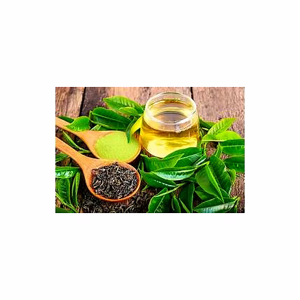 Green Tea-12719073